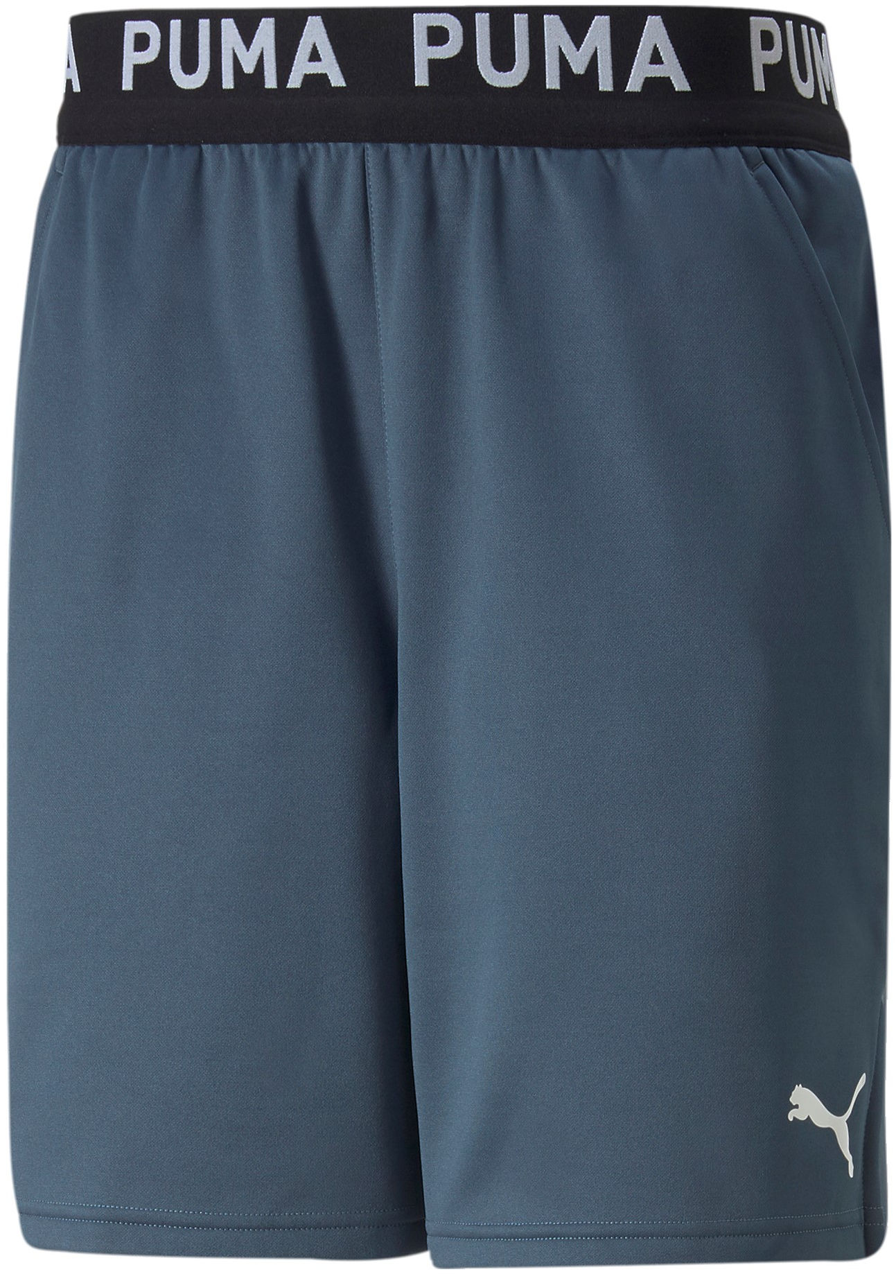 Shorts Puma TRAIN FIT PWRFLEECE 7" SHORT Grå | 52213318, 0