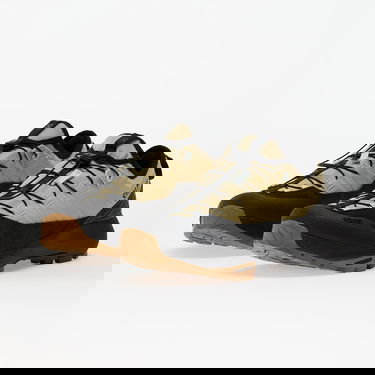 Sneakers och skor Salomon ALPINWAY ADVANCED Paleol/ Black/ Ice Beige | L47859600, 5