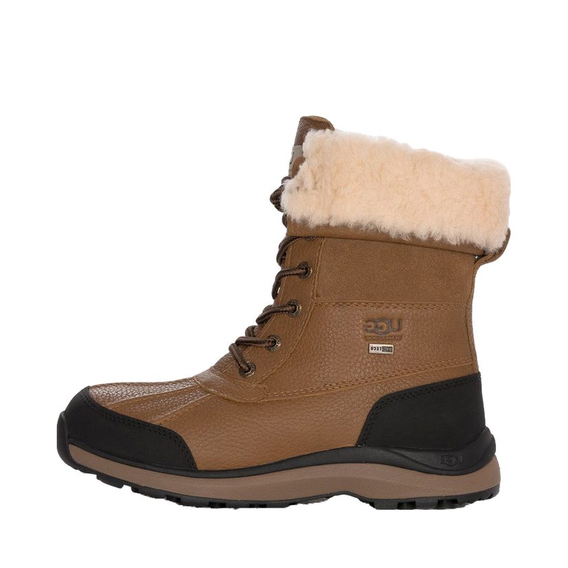 Sneakers och skor UGG Adirondack III "Chestnut" W Beige | 1095141-CHE