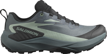 Sneakers och skor Salomon Salomon GENESIS GTX Grå | l47589000, 0