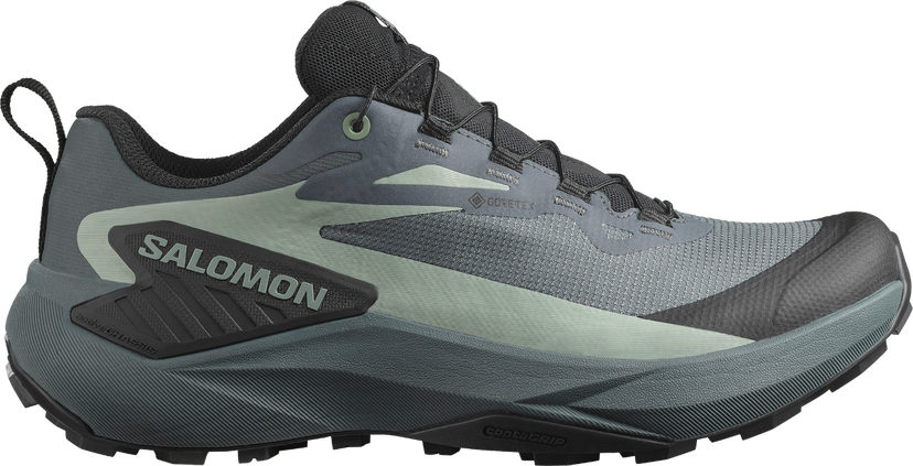 Sneakers och skor Salomon Salomon GENESIS GTX Grå | l47589000