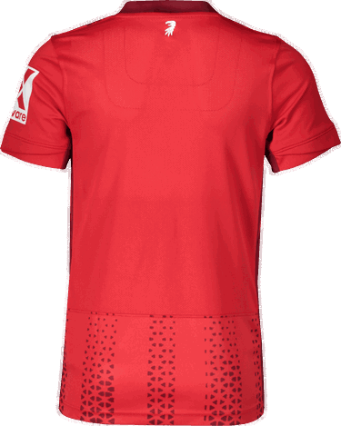 Jersey Nike SC Freiburg 3rd 2025/26 Jersey Röd | 6scffz9973-657, 1