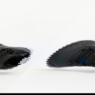 Sneakers och skor adidas Performance Terrex Free Hiker Gore-Tex W Grå | G28464, 2