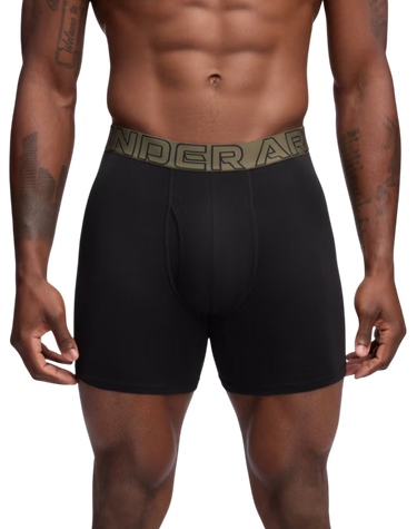 Boxare Under Armour Under Armour Solid 6in 3-Pack Boxer Shorts Grön | 1383889-005, 1