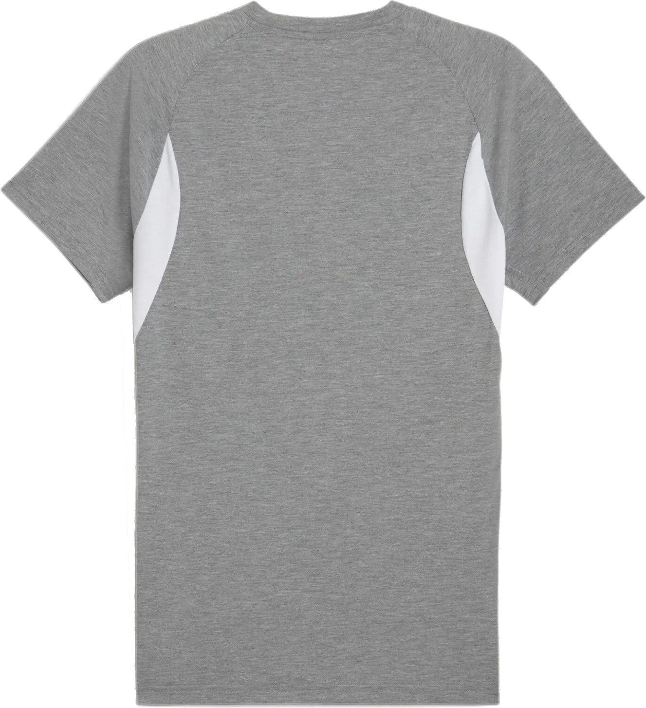 T-shirt Puma Puma teamEVOSTRIPE T-Shirt Grå | 659953-33, 1