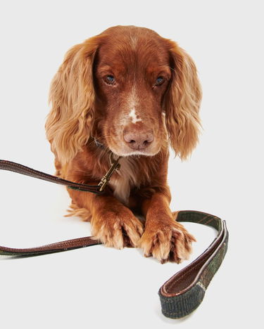 Tillbehör Barbour Classic Tartan Dog Lead Flerfärgad | DAC0009TN11, 1