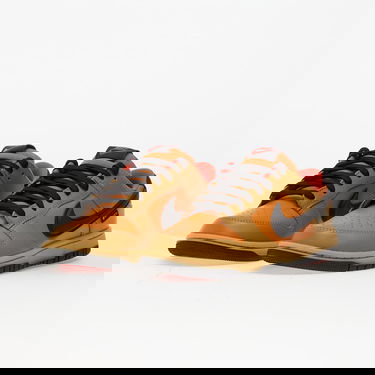 Sneakers och skor Nike Dunk Low Gtx Brun | HQ2053-700, 5
