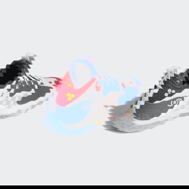 Sneakers och skor adidas Performance Harden Vol. 5 Futurenatural Flerfärgad | GY7489, 1