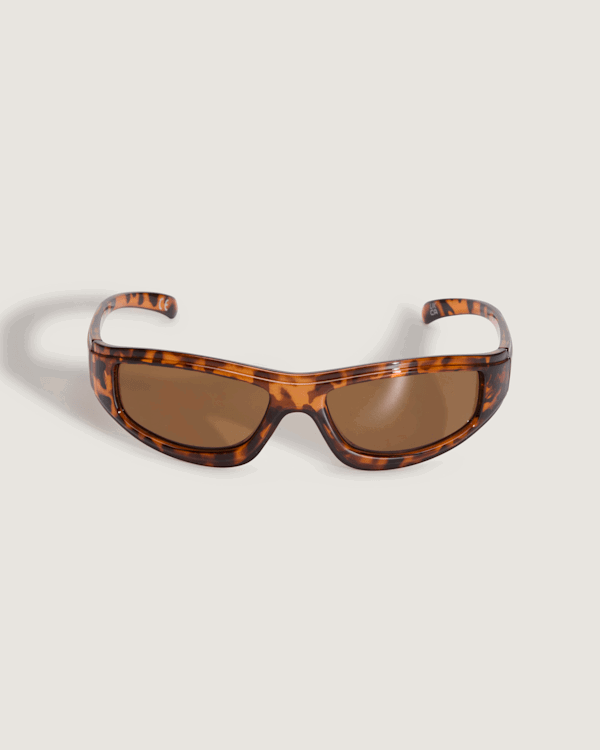 Solglasögon Vans Vans Felix Sunglasses Brun | VN000GMZ1RE