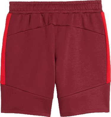 Shorts Puma Red Bull Salzburg Evostripe Shorts Bourgogne | 781769-10, 2