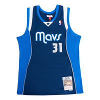 NBA Dallas Mavericks Jason Terry Swingman Jersey