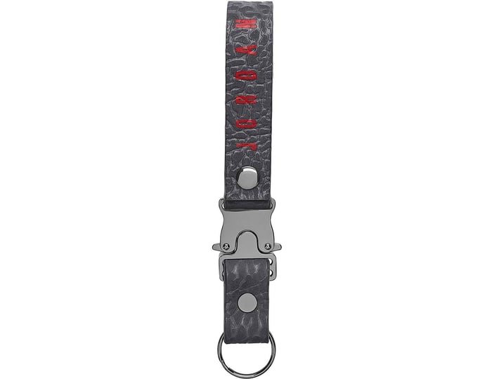 Nyckelringar Jordan Jordan Luxe Lanyard Grå | 9031/11