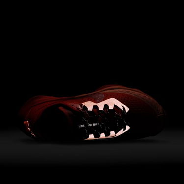 Sneakers och skor Nike Air Zoom Terra Kiger 7 W Orange | DM9469-800, 1