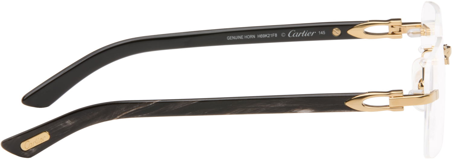 Solglasögon Cartier Rectangular Glasses Svart | CT0453O-001, 1