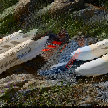 Sneakers och skor adidas Performance Terrex Agravic Speed Vit | ji0954, 7