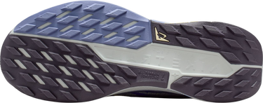 Sneakers och skor Nike Pegasus Trail 5 Blå | dv3865-403, 4
