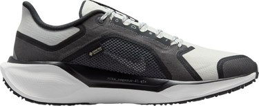 Sneakers och skor Nike Pegasus 41 GORE-TEX Svart | fq1356-002, 3