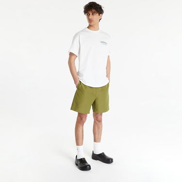 Badkläder Carhartt WIP Island Swim Trunks Green Grön | I030059.1FSXX, 2