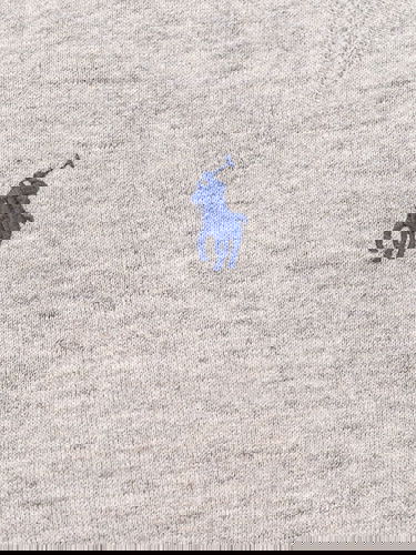Sweatshirt Polo by Ralph Lauren Cropped Hoodie Grå | 211943007004, 2
