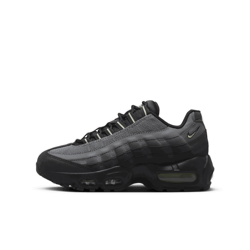 Sneakers och skor Nike Air Max 95 Svart | HM9614-001