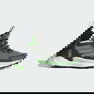 Sneakers och skor adidas Performance adidas TERREX FREE HIKER 2.0 GORE-TEX Grå | IE5127, 0