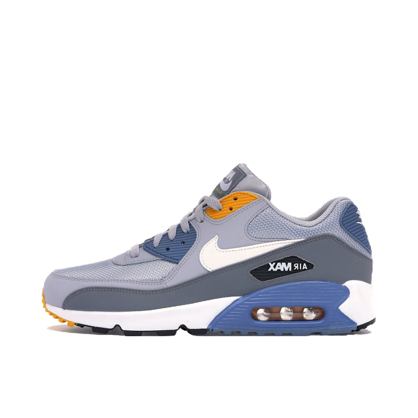 Sneakers och skor Nike Air Max 90 Grå | AJ1285-016