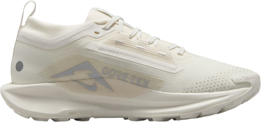 Sneakers och skor Nike Pegasus Trail 5 GORE-TEX Beige | fq0912-102, 3