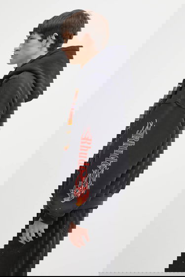 Sweatshirt Rhude Cotton Graphic Hooded Sweatshirt Mesa Arizona Stallion Svart | RHFW25HO04012, 1