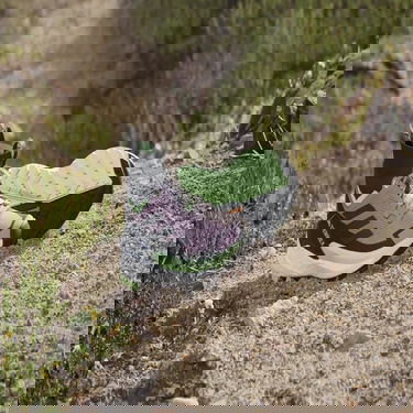 Sneakers och skor adidas Performance Terrex Free Hiker 2.0 Purpur | IE5119, 4