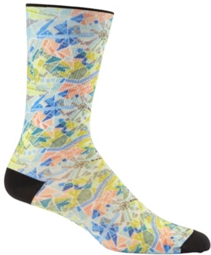 Strumpor Craft Craft ADV Endur Graphic Socks Flerfärgad | 1914617-900007
