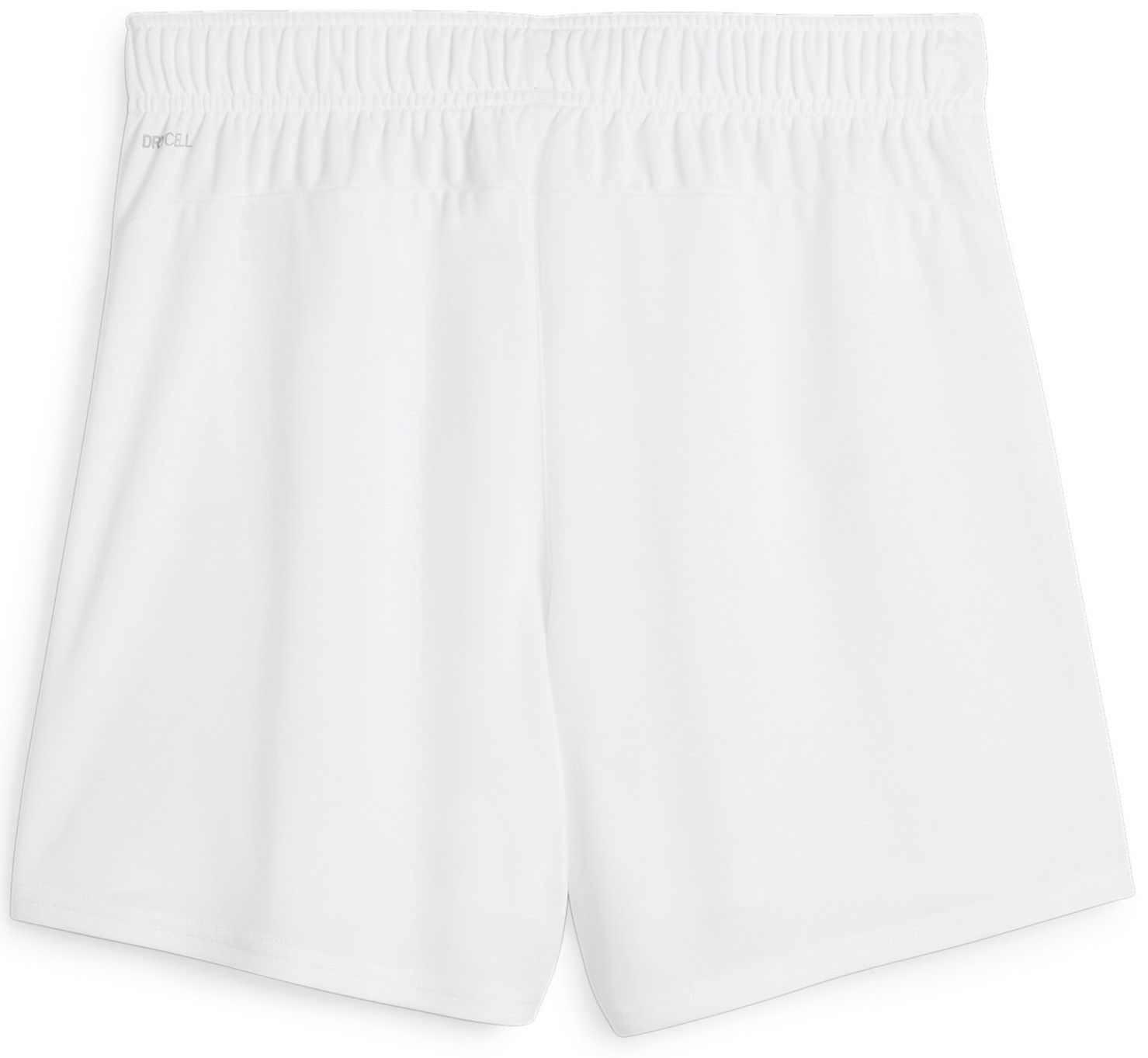 Shorts Puma teamGOAL Shorts Wmns Vit | 705754-04, 1