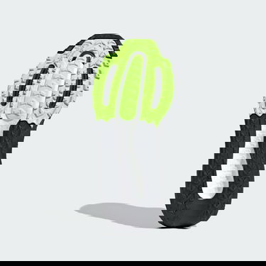 Sneakers och skor adidas Performance Ultraboost Light GTX Svart | IE1683, 2