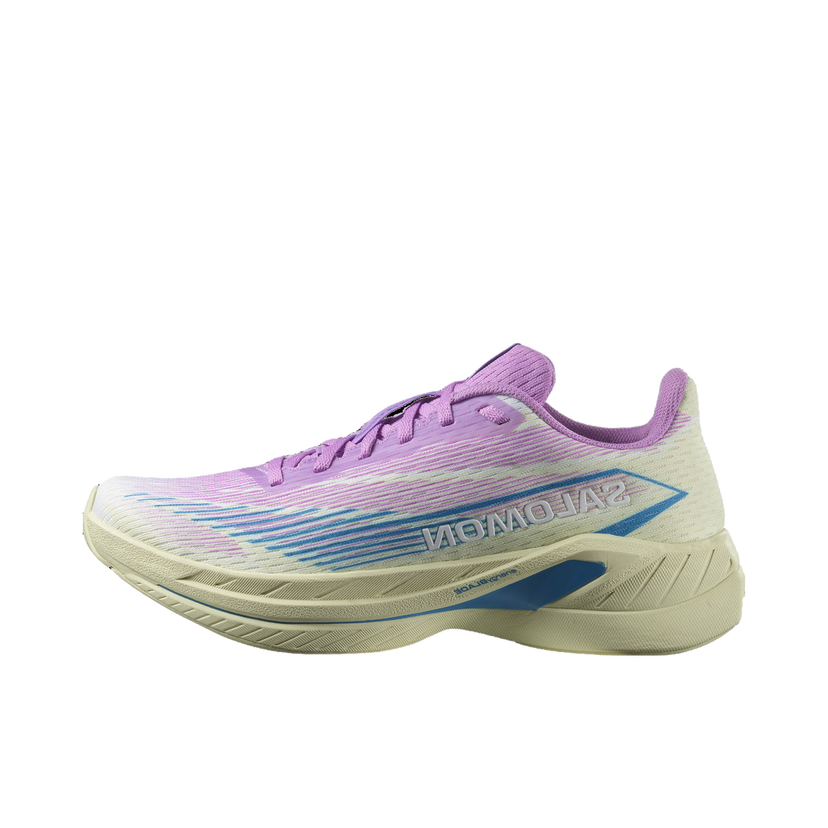 Löpning Salomon SPECTUR 2 W Purpur | l47567100