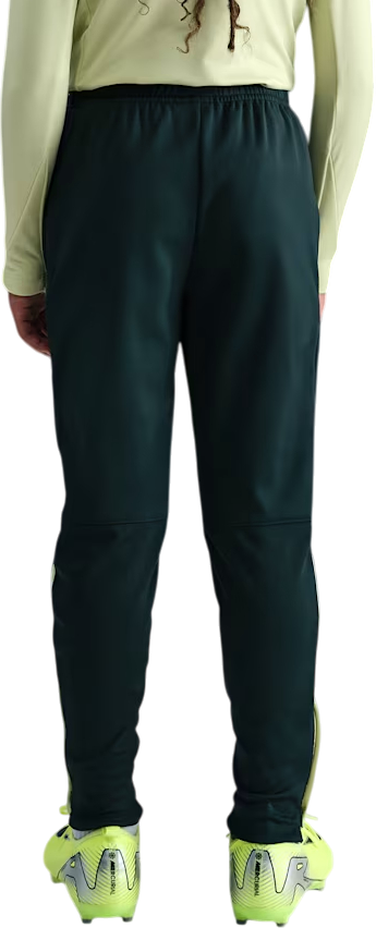 Träningsbyxor Nike Therma-FIT Academy Pants Grön | fj6182-390, 2