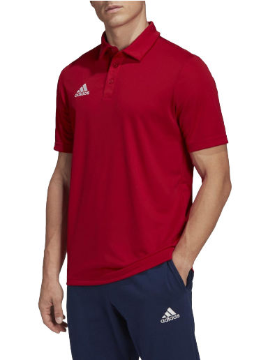 Polotröja adidas Originals Entrada 22 Polo Röd | h57489
