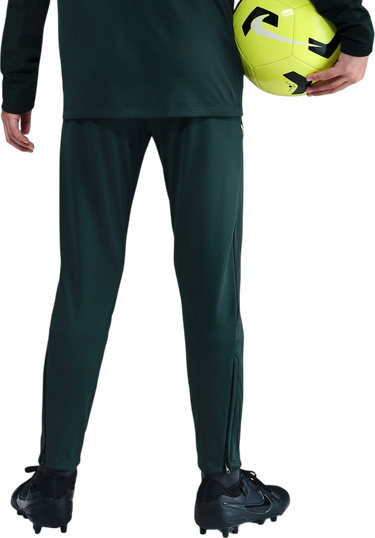 Träningsbyxor Nike Dri-FIT Academy 25 Training Pants Grön | hj3720-390, 1
