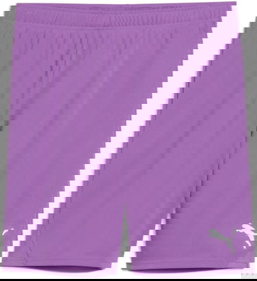 Shorts Puma Puma teamGOAL Shorts Purpur | 705752-33, 0