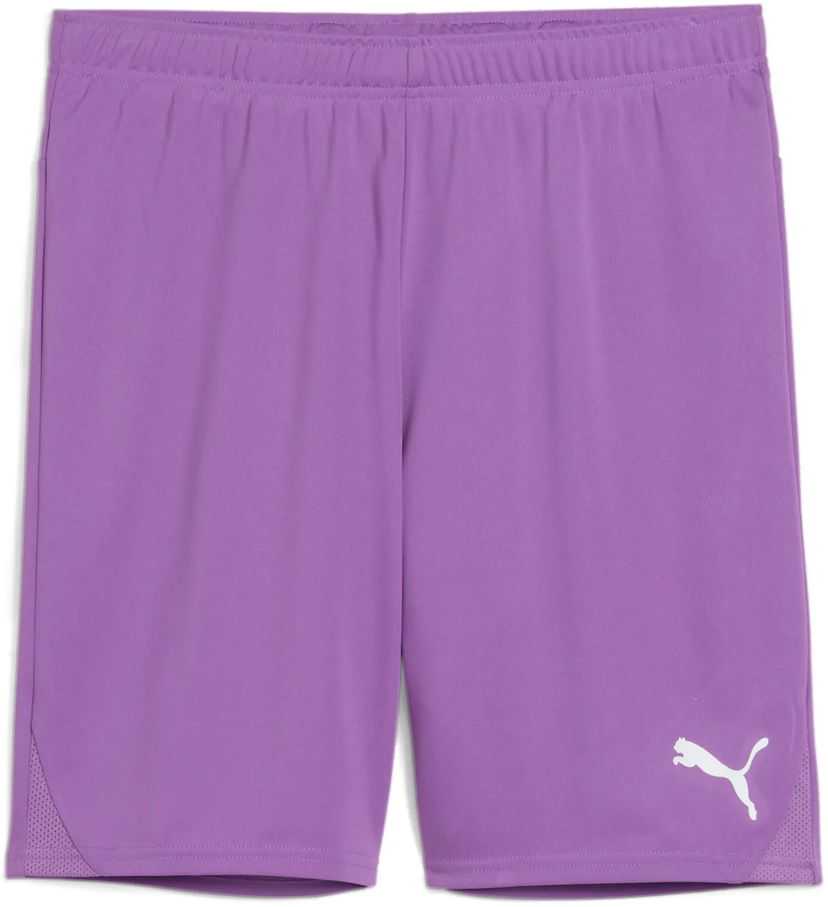 Shorts Puma Puma teamGOAL Shorts Purpur | 705752-33