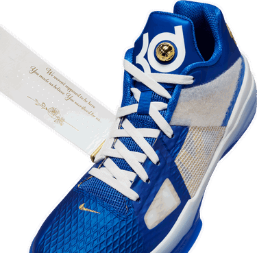 Sneakers och skor Nike KD 4 Blå | fz3540-400, 6