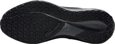 Sneakers och skor Nike Pegasus 41 GORE-TEX Svart | fq1357-001, 4