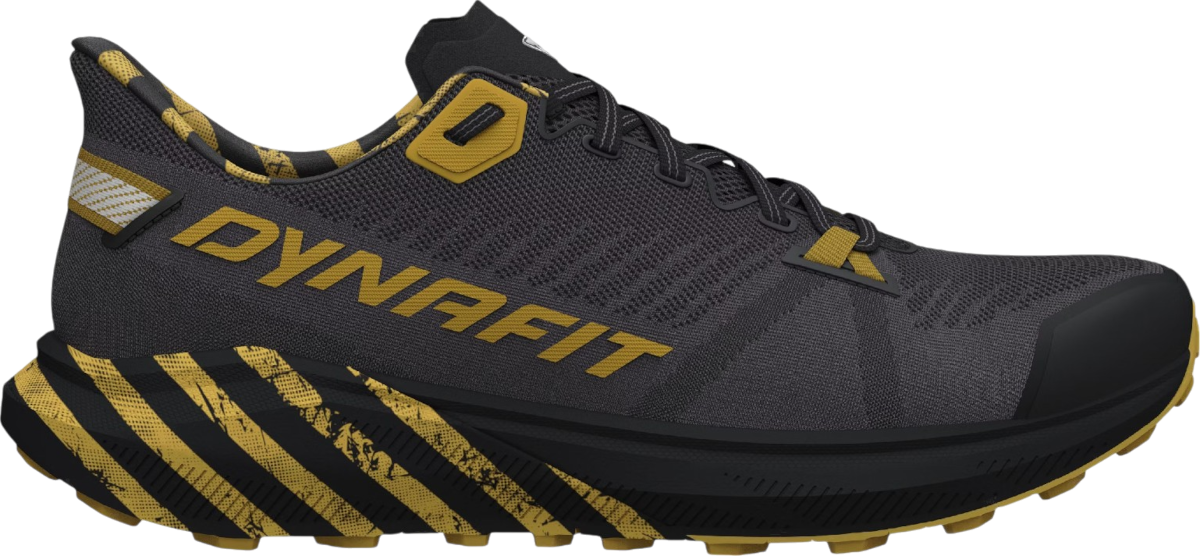 Sneakers och skor Dynafit Trail Graphic Grå | 08-0000064113-0974, 0