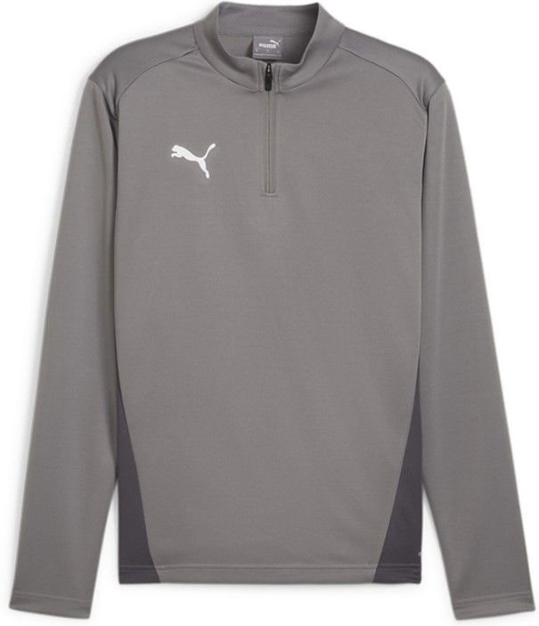 Sweatshirt Puma teamGOAL Training 1/4 Zip Sweatshirt Grå | 658629-13