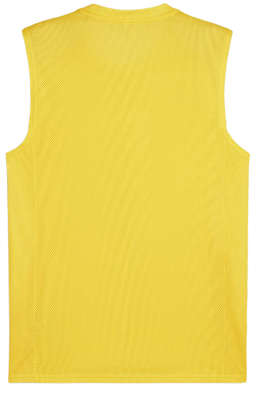 Jersey Puma teamGOAL Sleeveless Jersey Gul | 705913-07, 1
