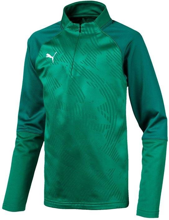 Sweatshirt Puma Cup Core 1/4 Zip Training Top Grön | 656019-005