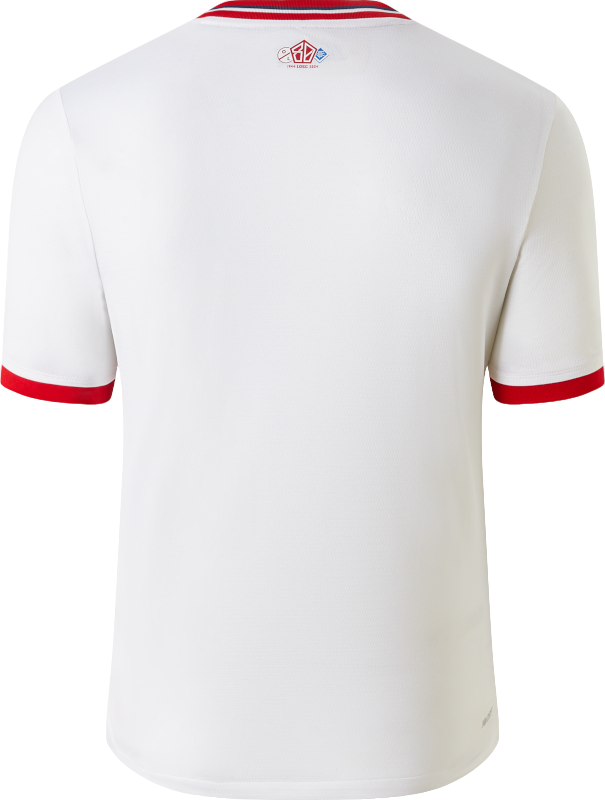 Jersey New Balance Lille LOSC Anniversaire Youth Jersey Vit | jt230342-fou, 1
