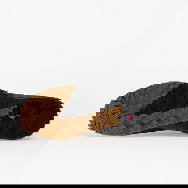 Sneakers och skor Salomon ALPINWAY ADVANCED Paleol/ Black/ Ice Beige | L47859600, 1