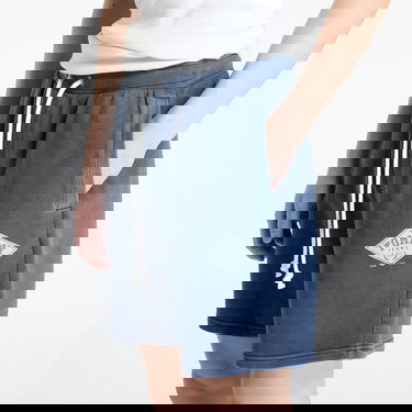 Shorts Tommy Hilfiger Tommy Jeans Regular Varsity Shorts Blå | DM0DM20936 C1G, 1