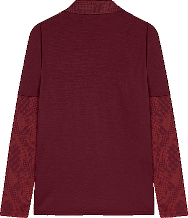 T-shirt Puma Puma GSK Training 1/4 Zip Top Bourgogne | 782887-03, 1