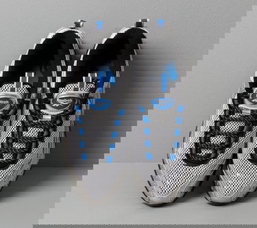 Sneakers och skor Reebok BlackEyePatch Daytona DMX II Grå | EG7752, 2