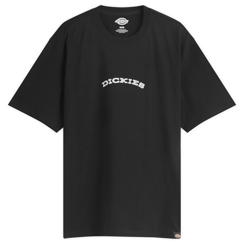 T-shirt Dickies Outdoor T-Shirt, Size Large Svart | DK0A4Z8PBLK1-494